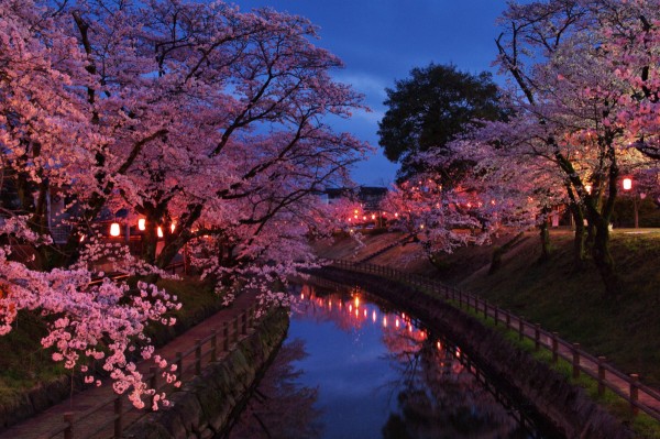 行屋川桜まつり